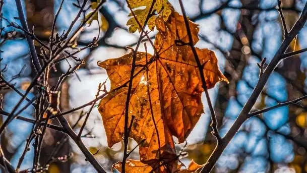 Jesienne Mazury, okolice jezior Niegocin i wojnowo - zdjęcie 1