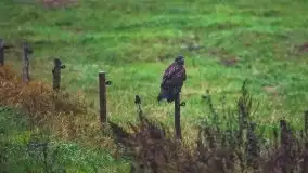 Jesienne Mazury na zdjęciach Staszka Sielewicza - zdjęcie 15