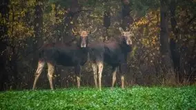 Jesienne Mazury na zdjęciach Staszka Sielewicza - zdjęcie 9