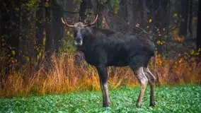 Jesienne Mazury na zdjęciach Staszka Sielewicza - zdjęcie 29