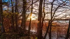 Zachód słońca i resztki jesieni nad jeziorem Ołów - zdjęcie 8