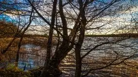 Zachód słońca i resztki jesieni nad jeziorem Ołów - zdjęcie 12