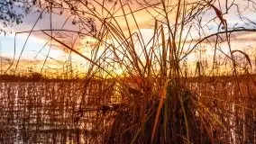 Zachód słońca i resztki jesieni nad jeziorem Ołów - zdjęcie 11