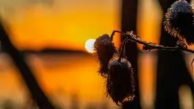 Pierwszy śnieg i wschód słońca nad jeziorem Boczne - zdjęcie 81