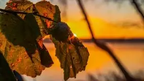 Pierwszy śnieg i wschód słońca nad jeziorem Boczne - zdjęcie 50