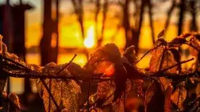 Pierwszy śnieg i wschód słońca nad jeziorem Boczne - zdjęcie 42