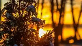 Pierwszy śnieg i wschód słońca nad jeziorem Boczne - zdjęcie 88