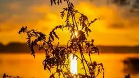 Pierwszy śnieg i wschód słońca nad jeziorem Boczne - zdjęcie 102