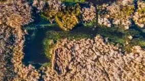 Jesień z lotu ptaka przy jeziorze Tałtowisko i kanale Grunwaldzkim - zdjęcie 24