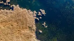 Jesień z lotu ptaka przy jeziorze Tałtowisko i kanale Grunwaldzkim - zdjęcie 15