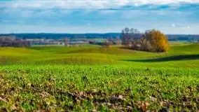 Listopadowe klimaty na bezdrożach Mazur - zdjęcie 4