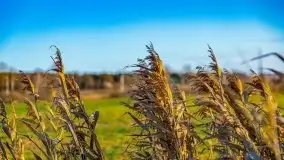 Listopadowe klimaty na bezdrożach Mazur - zdjęcie 10