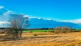 Listopadowe klimaty na bezdrożach Mazur - zdjęcie 26