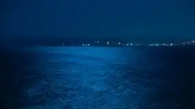 Nocne listopadowe kolory Giżycka - zdjęcie 22