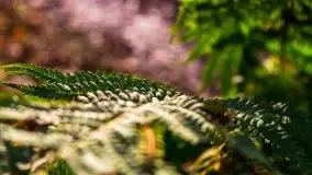 Leśne klimaty w okolicach Wydmin - zdjęcie 17