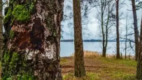 Miał być zachód słońca, a skończyło się na ognisku - zdjęcie 10