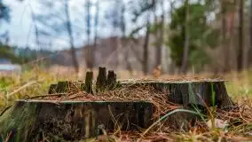 Miał być zachód słońca, a skończyło się na ognisku - zdjęcie 19