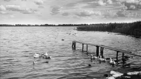 Przedwojenne zdjęcia Mikołajek (Nikolaiken) - zdjęcie 90