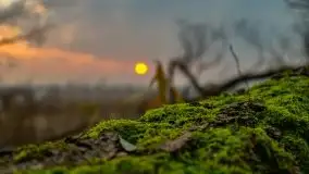 Wschód słońca przy moście Sztynorckim i jeziorze Dargin - zdjęcie 35