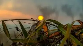 Wschód słońca przy moście Sztynorckim i jeziorze Dargin - zdjęcie 36