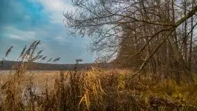 Wschód słońca przy moście Sztynorckim i jeziorze Dargin - zdjęcie 51