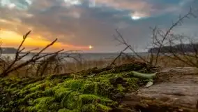 Wschód słońca przy moście Sztynorckim i jeziorze Dargin - zdjęcie 45