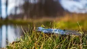 Krutynia i Nowy Mostek w grudniowych zdjęciach - zdjęcie 3