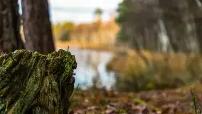 Krutynia i Nowy Mostek w grudniowych zdjęciach - zdjęcie 37