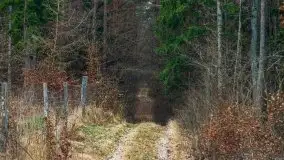 Krutynia i Nowy Mostek w grudniowych zdjęciach - zdjęcie 54