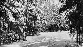 Przedwojenne zdjęcia Giżycka (Lötzen) - zdjęcie 37