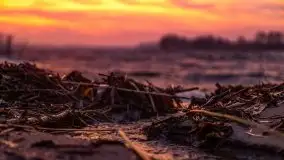 Piękny, grudniowy wschód słońca nad jeziorem Święcajty, 2020 - zdjęcie 38