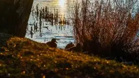 Grudniowy zachód słońca w Kętrzynie, 2020 - zdjęcie 45