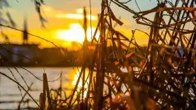 Grudniowy zachód słońca w Kętrzynie, 2020 - zdjęcie 28