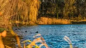 Grudniowy zachód słońca w Kętrzynie, 2020 - zdjęcie 23