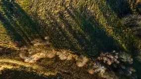 Jesienne jezioro Tuchlin z lotu mewy - zdjęcie 15