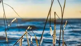 Wietrzne i jesienne jezioro Śniardwy, grudzień 2020 r. - zdjęcie 19