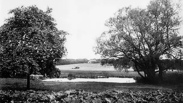 Przedwojenne zdjęcia Sztynortu (Steinort) - zdjęcie 6