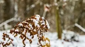 Zimowe i pochmurne kolory Mazur w okolicach Kruklanek - zdjęcie 39