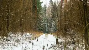 Zimowe i pochmurne kolory Mazur w okolicach Kruklanek - zdjęcie 59