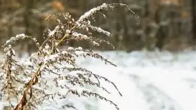 Zimowe i pochmurne kolory Mazur w okolicach Kruklanek - zdjęcie 4