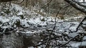 Zimowe i pochmurne kolory Mazur w okolicach Kruklanek - zdjęcie 52