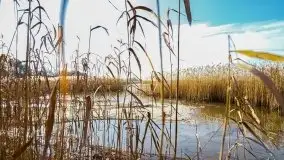 Późno jesienne jezioro Śniardwy i Okartowo 2020 r. - zdjęcie 17