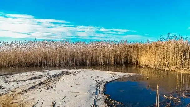 Późno jesienne jezioro Śniardwy i Okartowo 2020 r. - zdjęcie 9