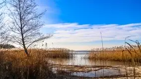 Późno jesienne jezioro Śniardwy i Okartowo 2020 r. - zdjęcie 11