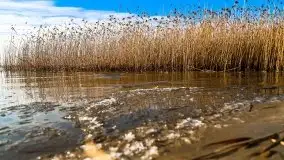 Późno jesienne jezioro Śniardwy i Okartowo 2020 r. - zdjęcie 21