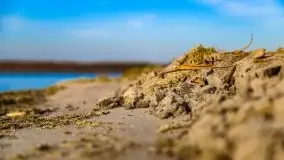 Późno jesienne jezioro Śniardwy i Okartowo 2020 r. - zdjęcie 33