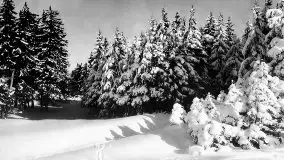 Przedwojenne zdjęcia Mrągowa (Sensburg) - zdjęcie 101