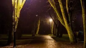 Nocne i mocno świąteczne Węgorzewo, grudzień 2020 r. - zdjęcie 26