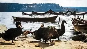 Przedwojenne pokolorowane zdjęcia Mikołajek (Nikolaiken) - zdjęcie 42