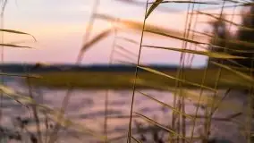 Wschód słońca nad jeziorem Gołdopiwo - zdjęcie 23